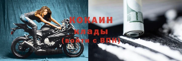 гидропоника Гусиноозёрск