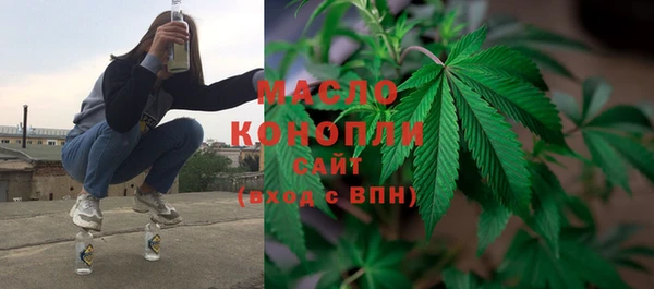 гидропоника Гусиноозёрск