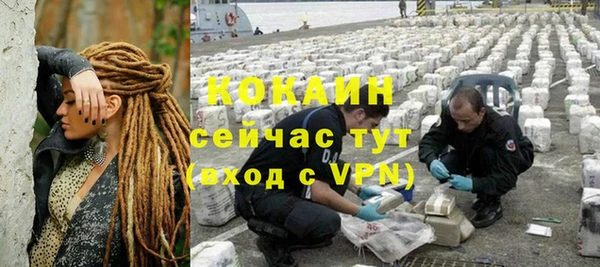 гидропоника Гусиноозёрск