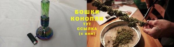 гидропоника Гусиноозёрск