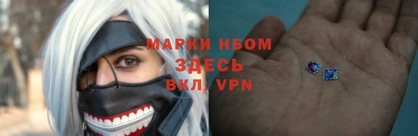 гидропоника Гусиноозёрск