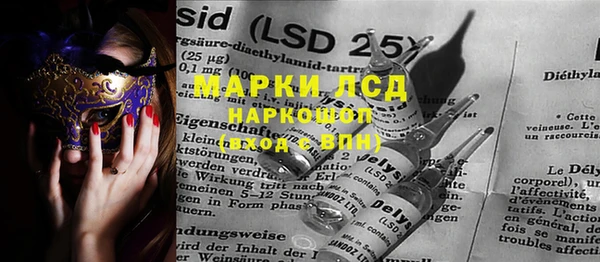 гидропоника Гусиноозёрск