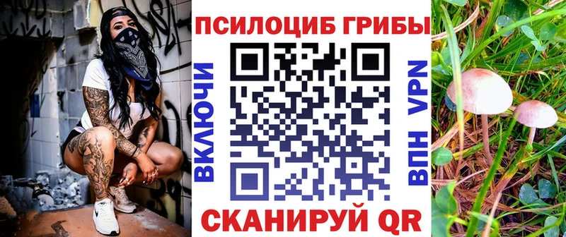Псилоцибиновые грибы мицелий  дарнет шоп  Стерлитамак 